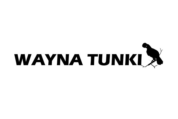 wayna tunki